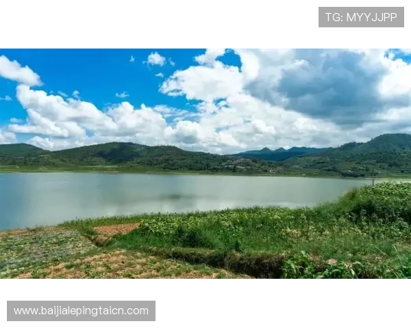 888真人官方网站最新登录入口，提供安全稳定的线上娱乐体验推荐