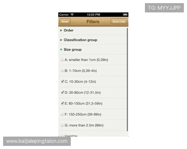 如何在NE真人电子APP中实现快速注册与高效充值流程详解