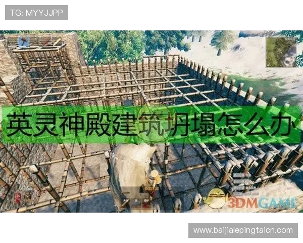 神殿网站登录遇到问题怎么办？详细解决方案及技巧分享