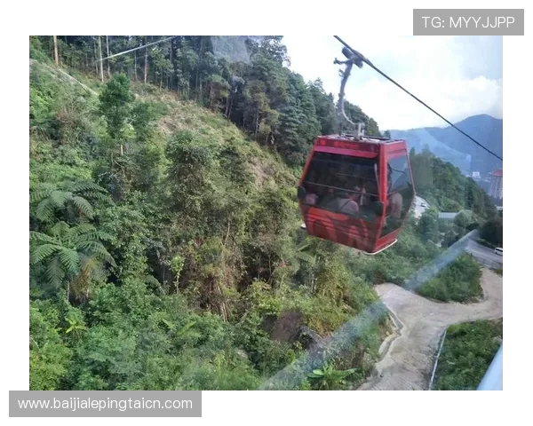 马来西亚云顶国际：合法合规运营的重要性与相关政策解读