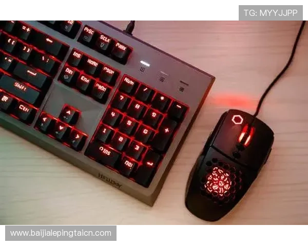 欧博真人游戏客服为高端玩家提供个性化定制服务满足不同玩家的多样化需求